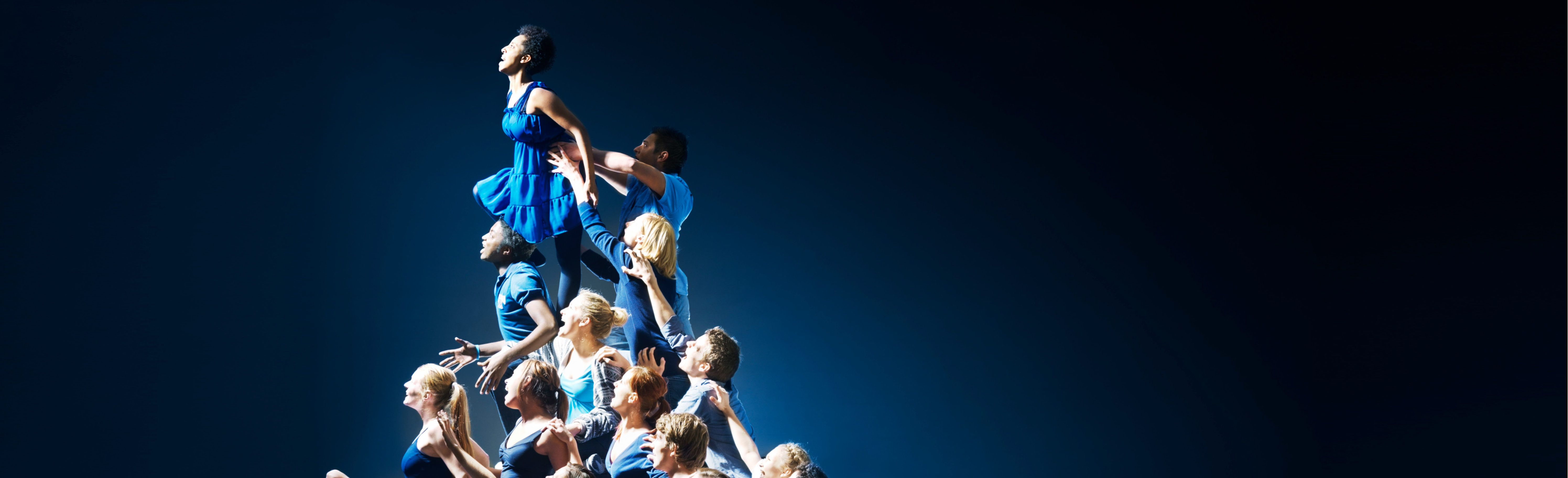 EL proyecto de todos